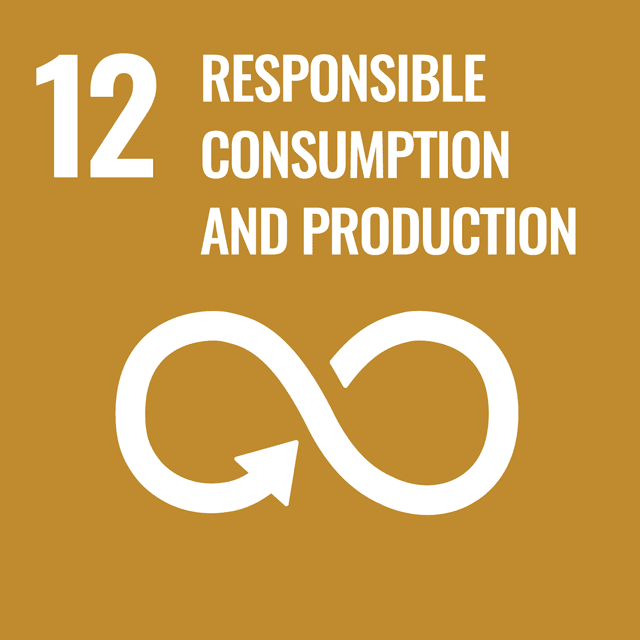 SDG12
