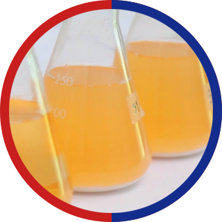 Halogen Acid Gas Test