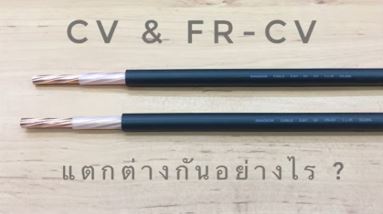 ความแตกต่างระหว่าง สาย CV & 