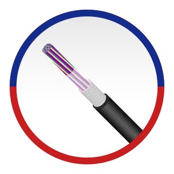 AP
